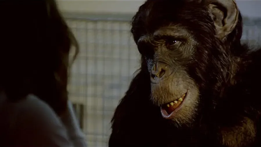 Amazing Ape online