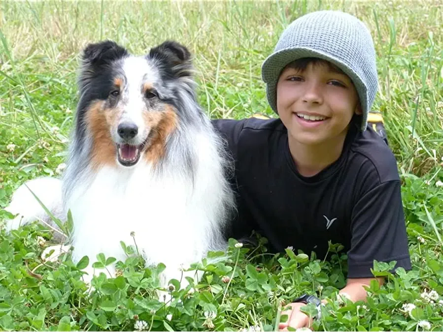 Bandit and the Saints of Dogwood online