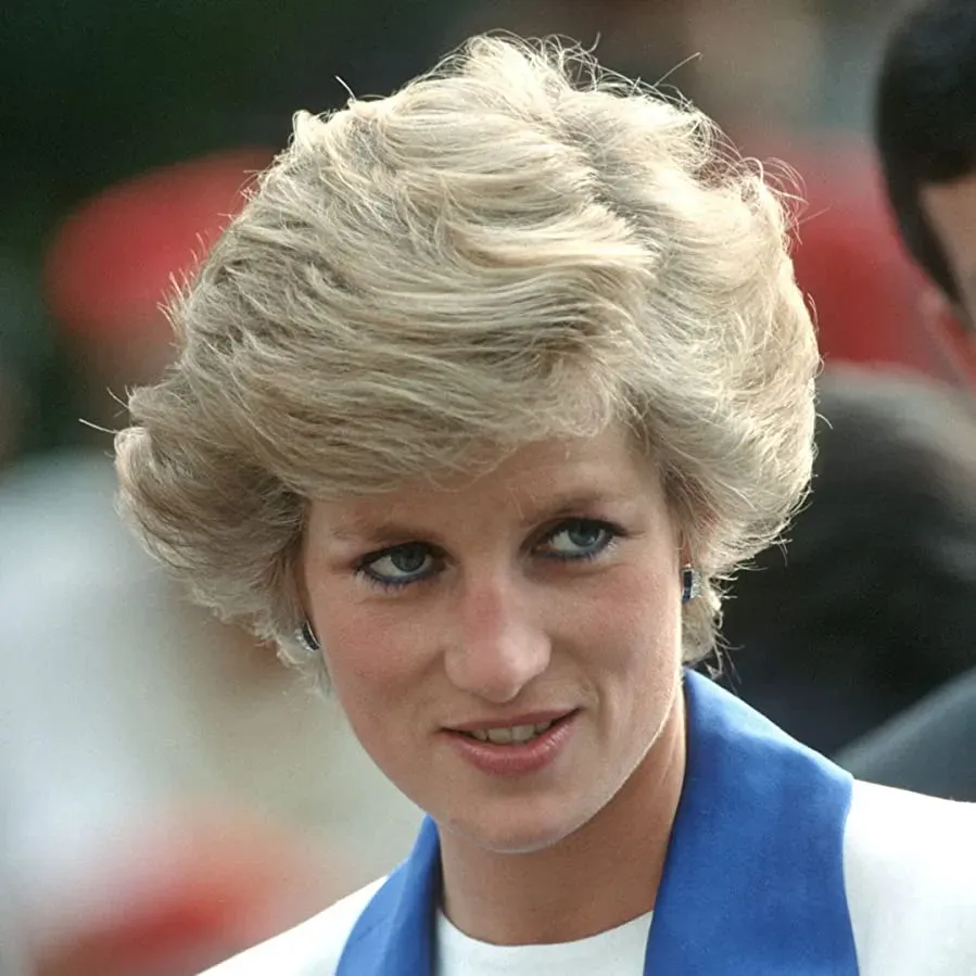 Diana: The Woman Inside online