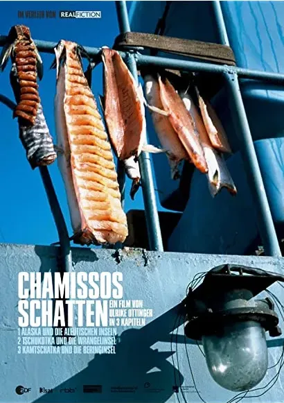 Cień Chamissa