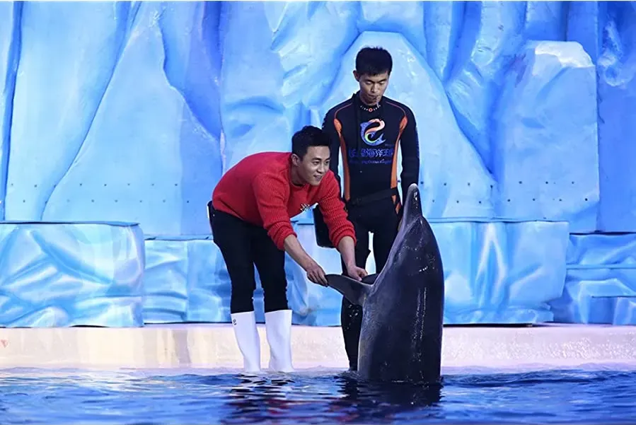 Duan pian zhi xian tu duo bao online