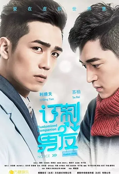 Ding zhi nan you