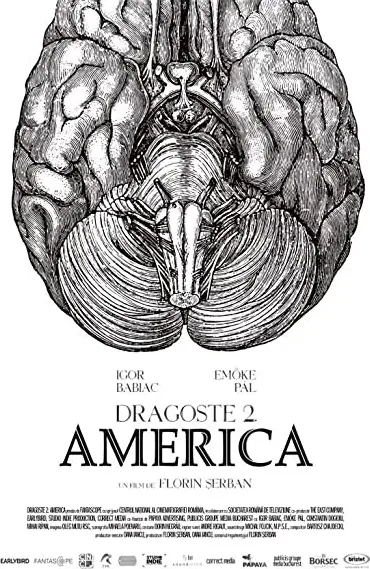 Dragoste 2. America