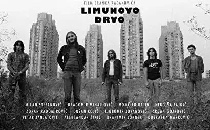 Limunovo drvo