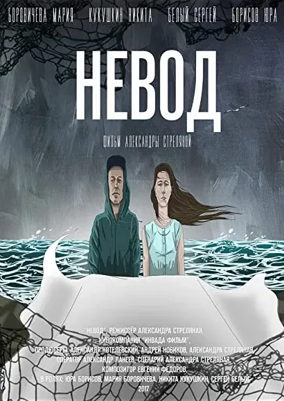 Sieć