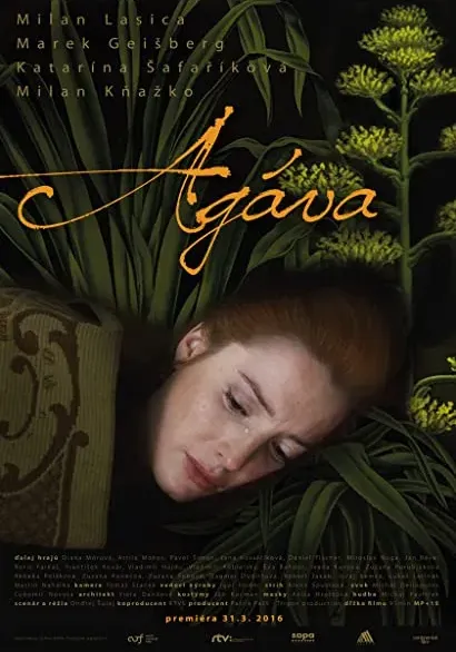Agava