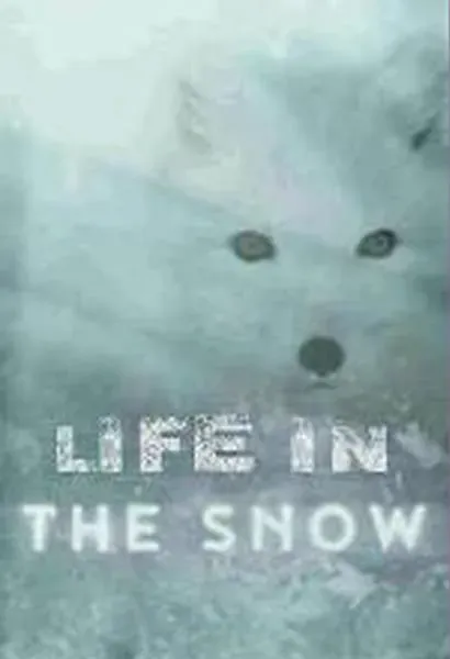 Life in the Snow