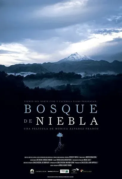 Bosque de Niebla