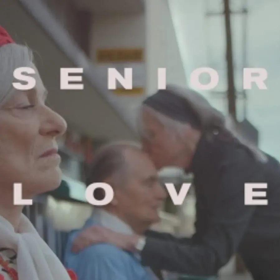 Senior Love Triangle online