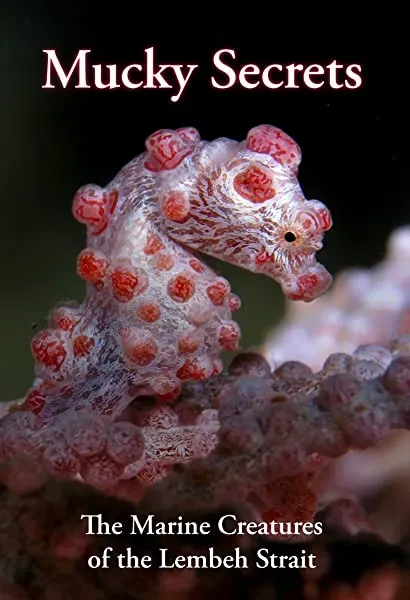 Mucky Secrets: The Marine Creatures of the Lembeh Strait