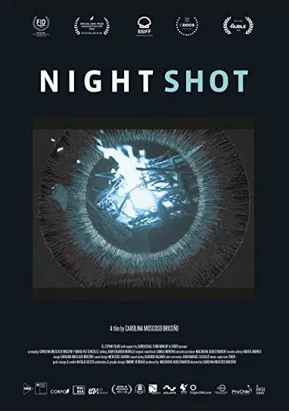 Visión nocturna