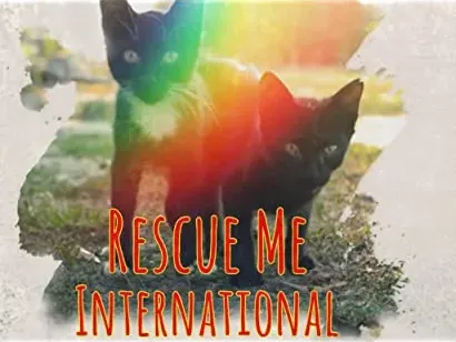 Rescue Me: International
