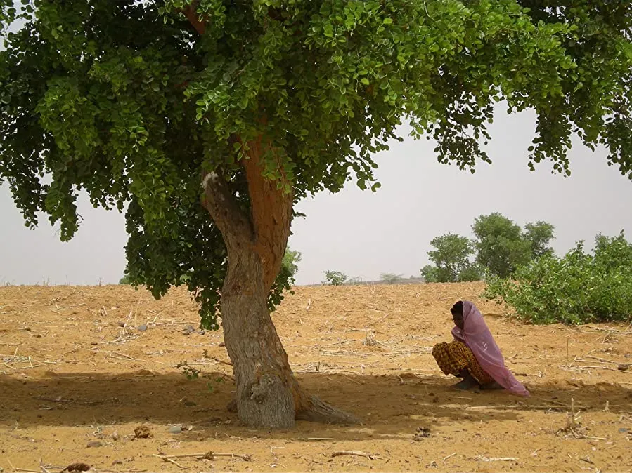 Hadijatou J'accuse online