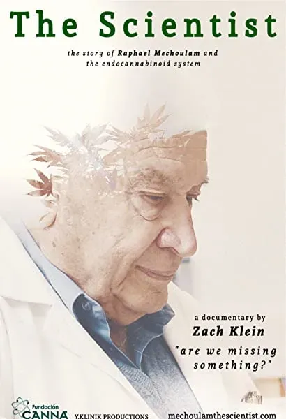 The Scientist: Are We Missing Something?