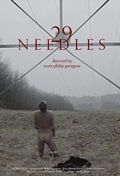 29 Needles