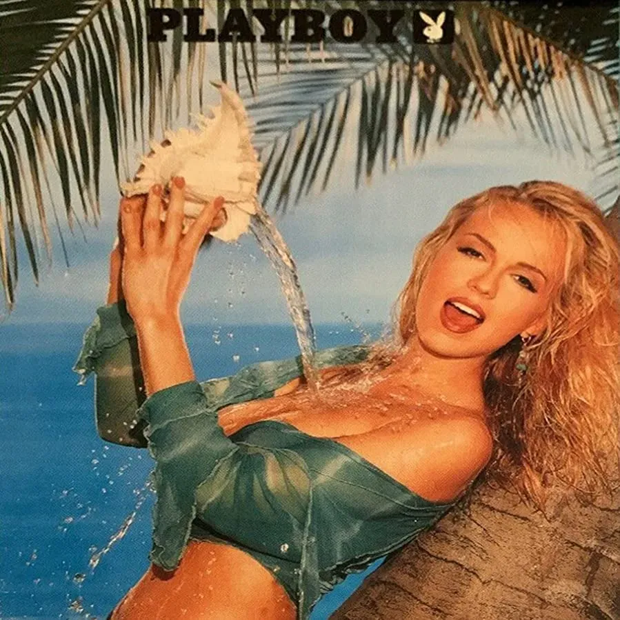 Playboy Wet & Wild: Hot Holidays online