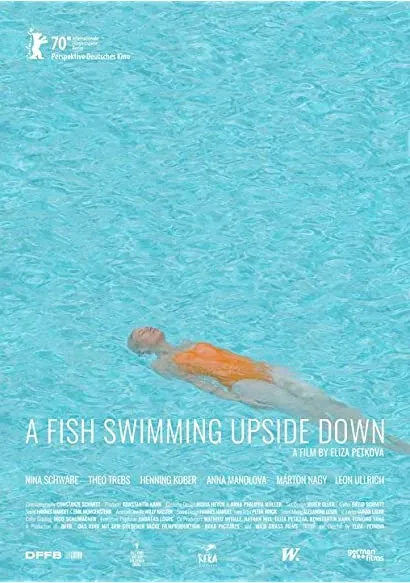 Ein Fisch, der auf dem Rücken schwimmt
