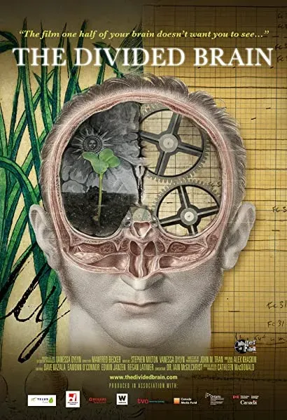 The Divided Brain