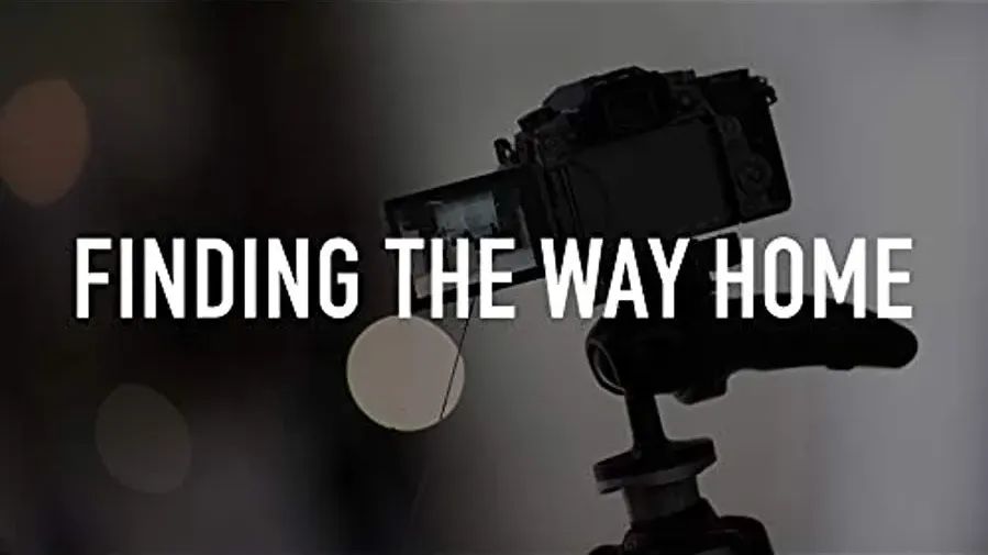 Finding the Way Home online