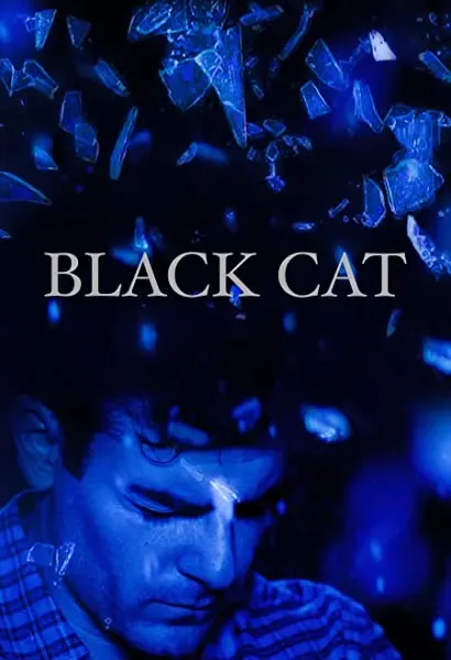 Black Cat
