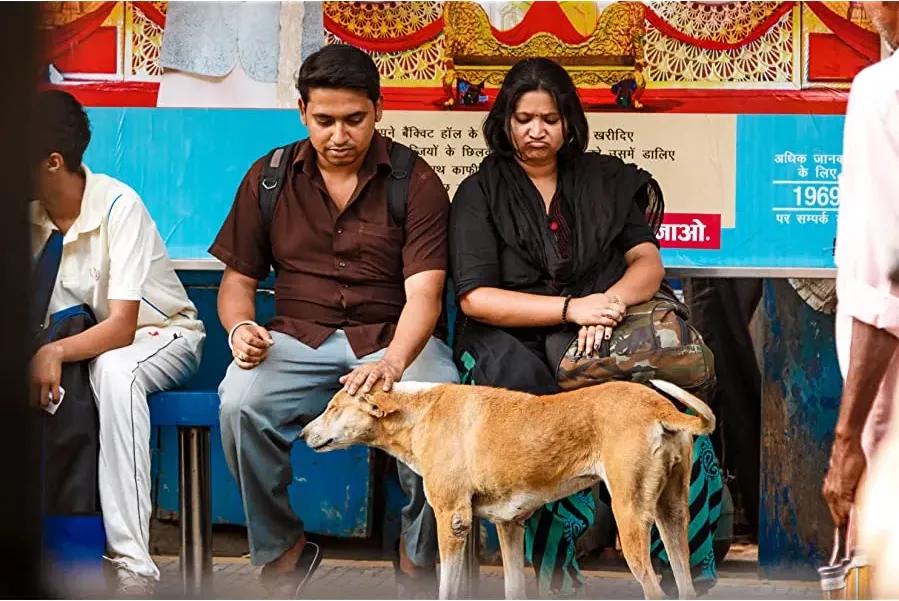Pariah Dog online