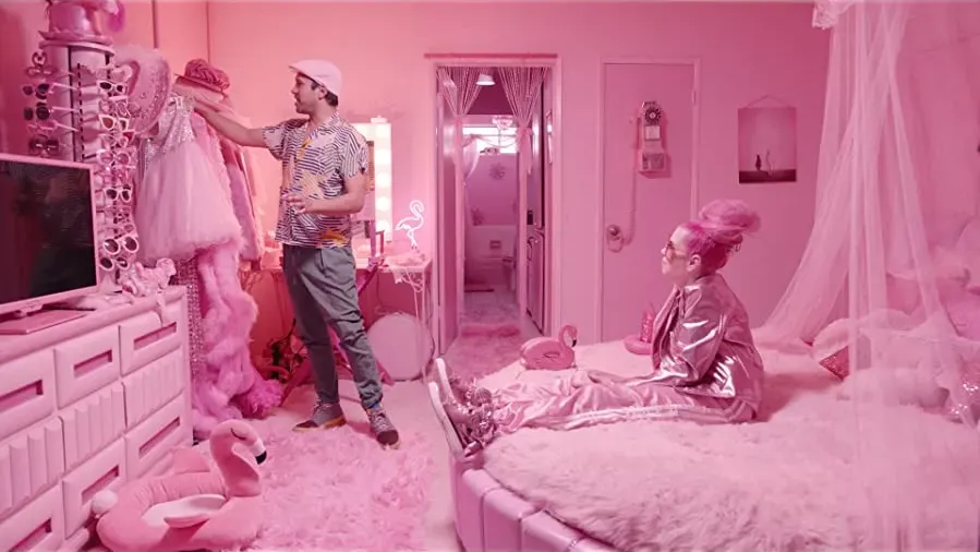 The Mystery of the Pink Flamingo online