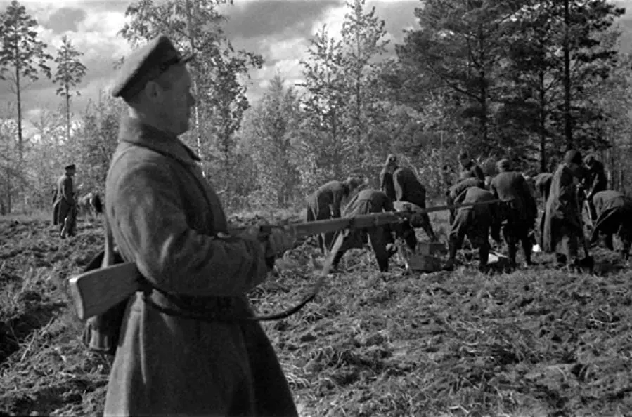 Les bourreaux de Staline - Katyn, 1940 online
