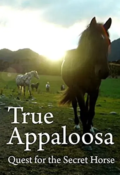 True Appaloosa