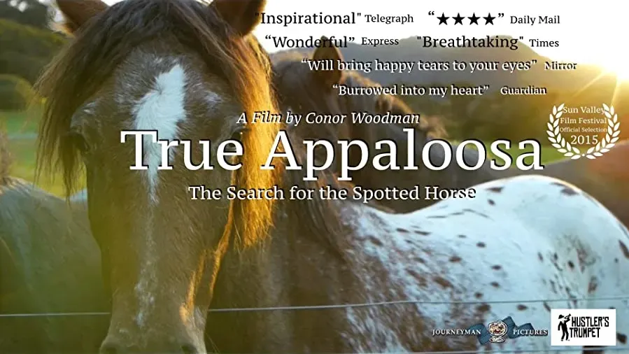 True Appaloosa online