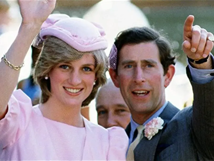 The Last 100 Days of Diana online