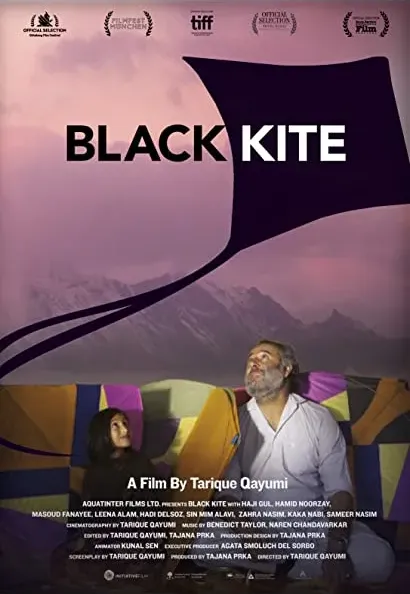 Black Kite