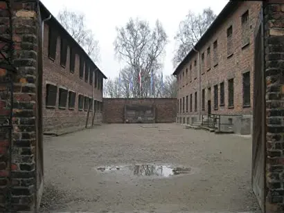 Made in Auschwitz: The Untold Story of Block 10