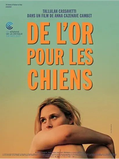 De l'or pour les chiens