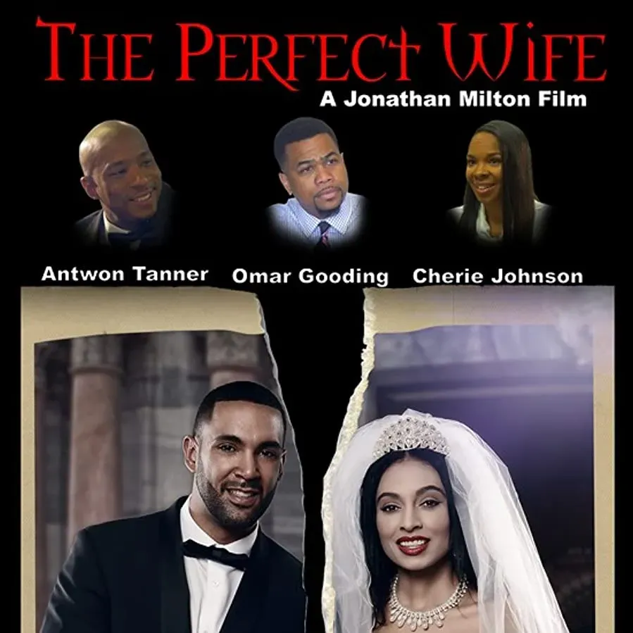 The Perfect Wife online