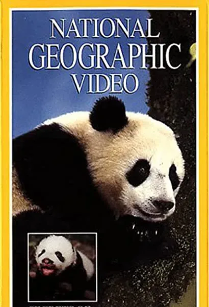 Secrets of the Wild Panda