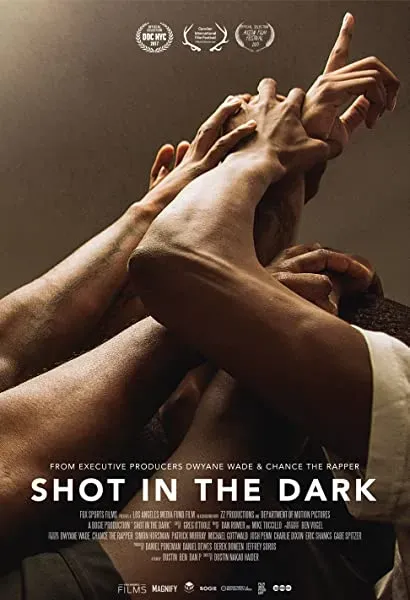 Shot in the Dark