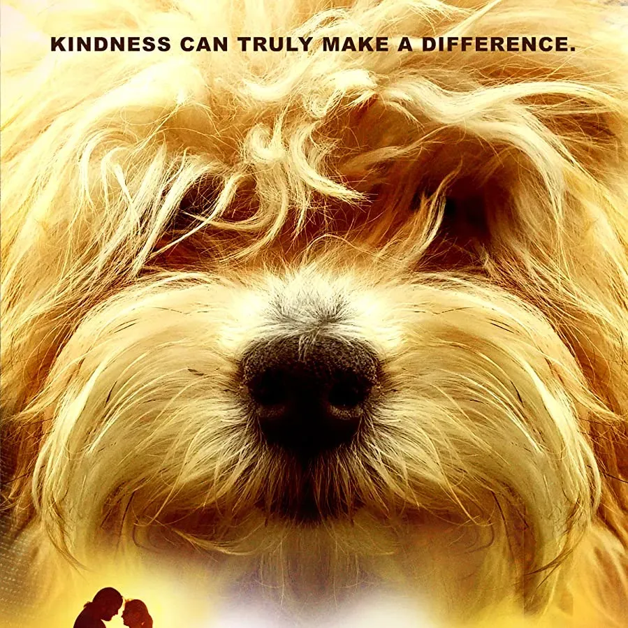 Kindness Matters online