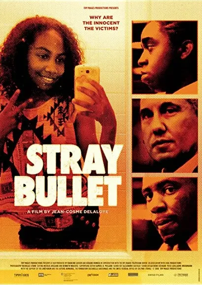 Stray Bullet