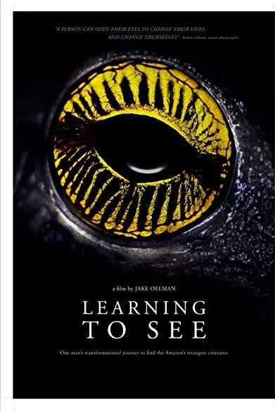 Learning to See: The World of Insects