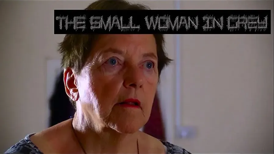 The Small Woman in Grey online