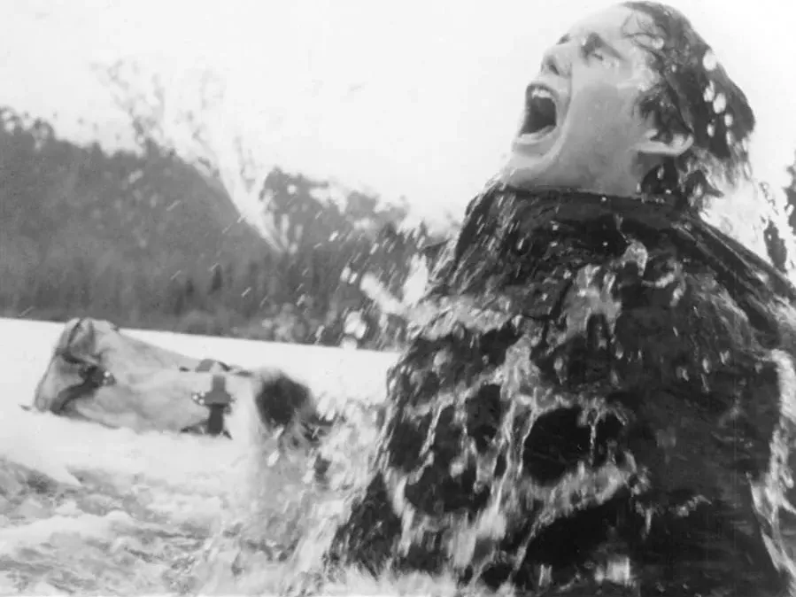 White Fang online