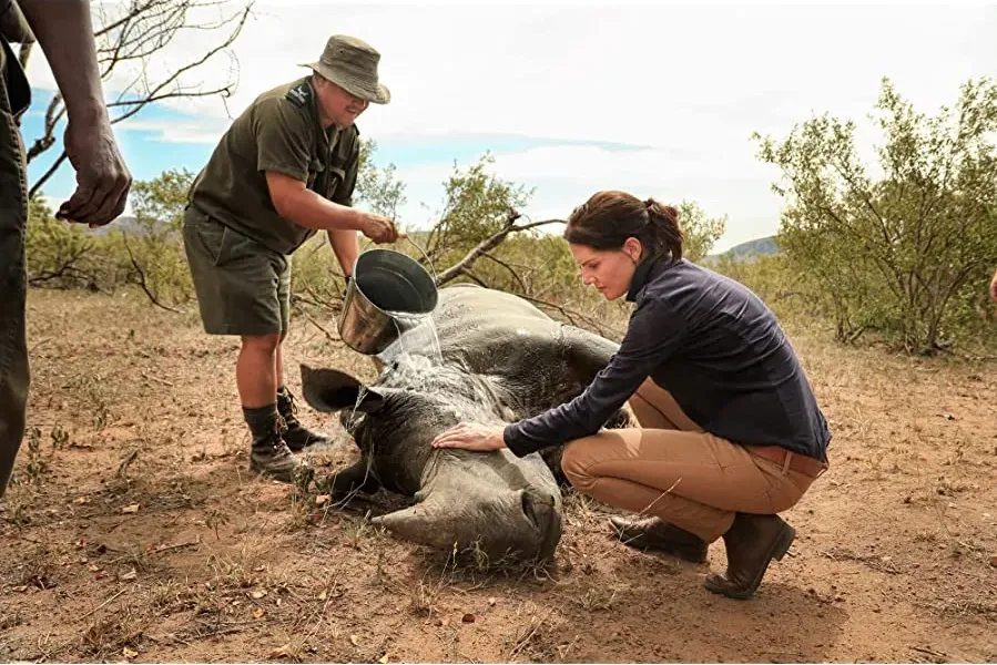 Stroop: Journey into the Rhino Horn War online
