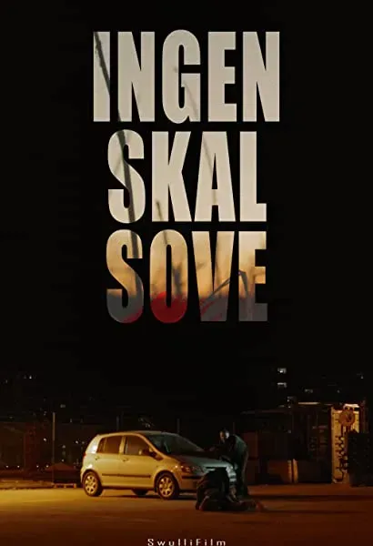 Ingen skal sove