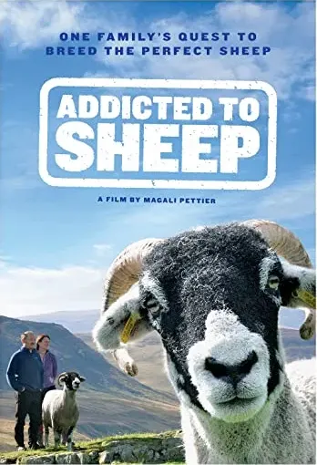 Addicted to Sheep