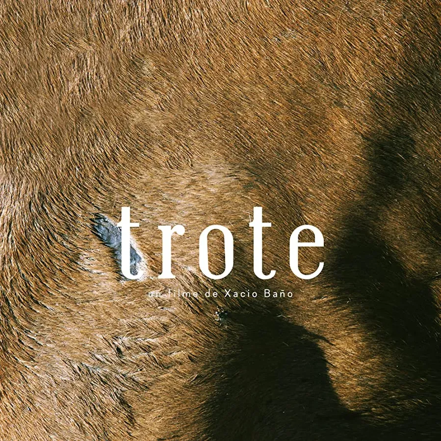 Trote online