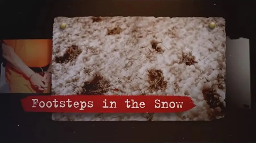 Footsteps in the Snow online