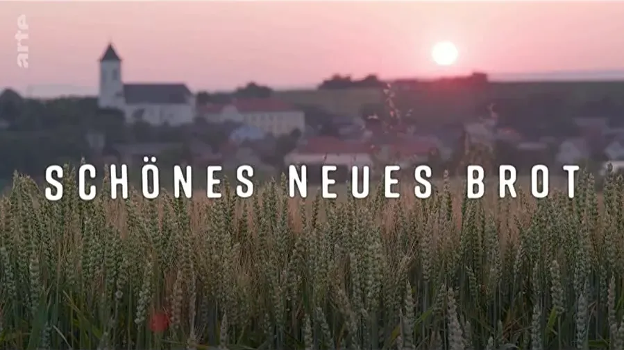 Brot online