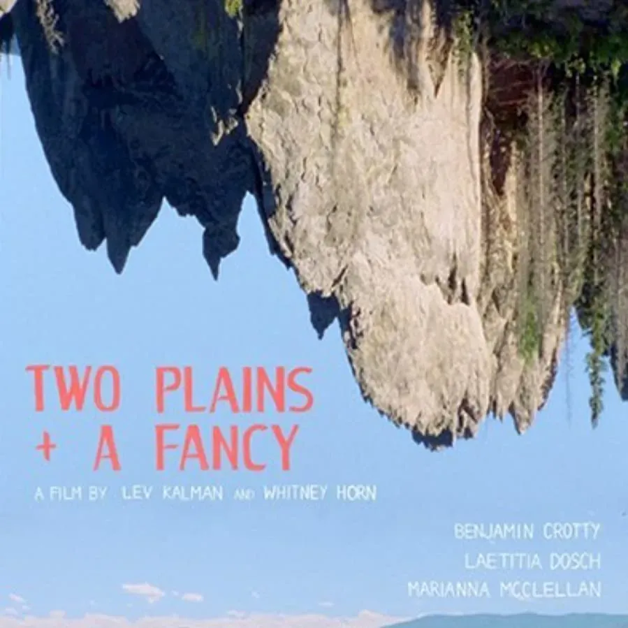 Two Plains & a Fancy online