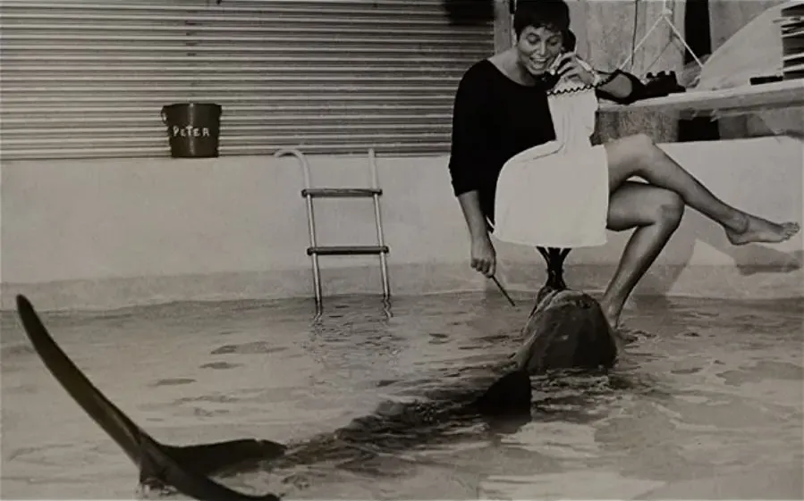 The Girl Who Talked to Dolphins online
