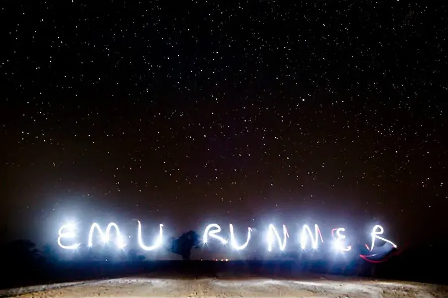Emu Runner online